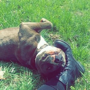 Meet your Posher, Taylor